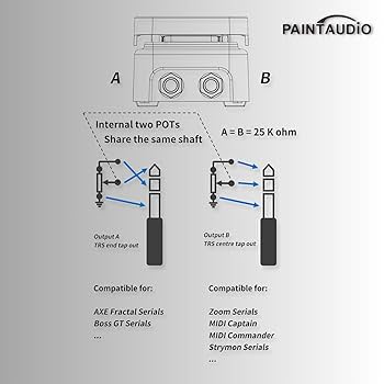 Amazon.com: Paint Audio Foot Captain Dual Outputs Expression