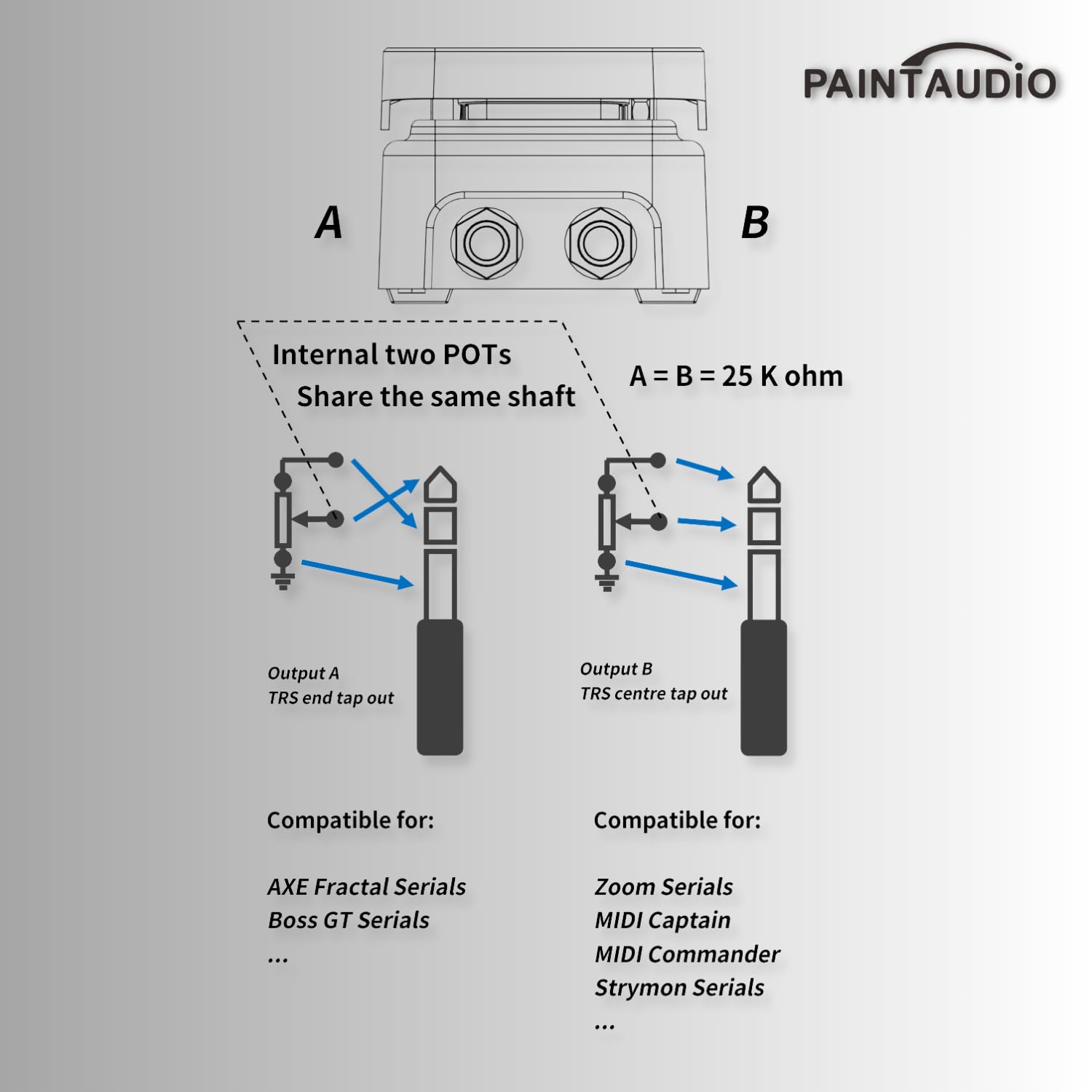 Amazon.com: Paint Audio Foot Captain Dual Outputs Expression