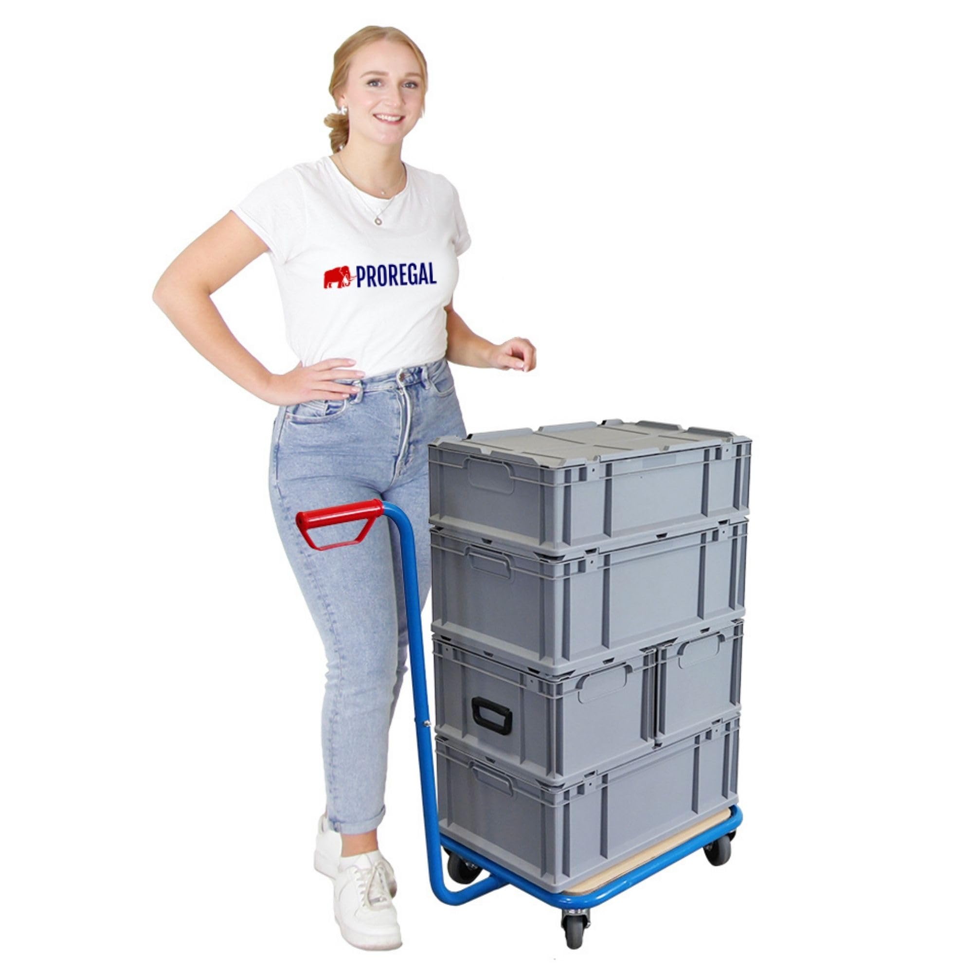 PROREGAL Profi Griffroller | HxBxT 96x50x60 cm | Traglast 250kg | 2X Lenkrollen mit Feststellbremse & 2X Bockrollen | Lichtblau | Transportroller mit Griff Transportwagen Plattformwagen Schiebewagen