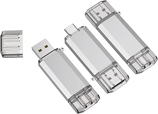 RAOYI 3 Pack 32GB USB C Flash Drive, 2 in 1 USB 3.0 Type C Dual OTG Metal Thumb Drive Jump Drive Memory Stick with Keychain Suitable for USB-C Smartphones, MacBook, Computers and Tablets (Silver)
