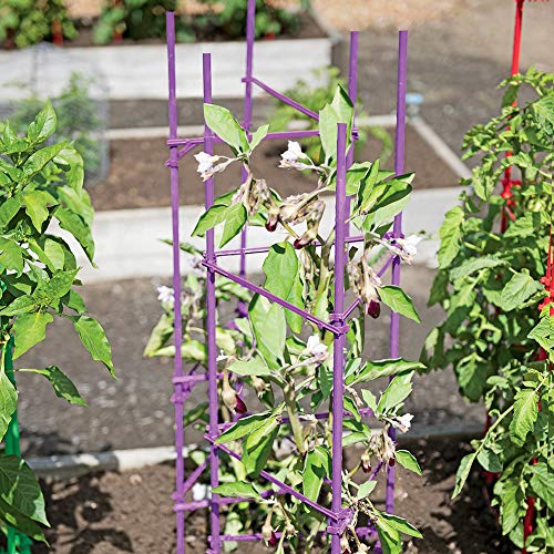 Growsun 5-ft 6-Pack Purple Tomato Supports Cage Plant Garden Stakes for Cucumber Fences Beans, 40 Counts Clips Include