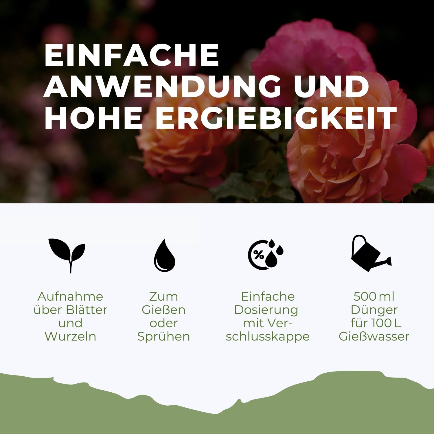 Konfitee Rosen Dünger Flora Boost 5000ml I Für bis zu 1000L Gießwasser I Langzeitdünger für alle Arten von Rosen geeignet I Flüssiger Blatt- & Wurzeldünger I 100% natürlicher Pflanzendünger