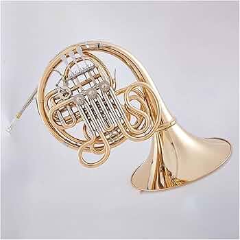 61MTm9EBfeL._AC_UF350,