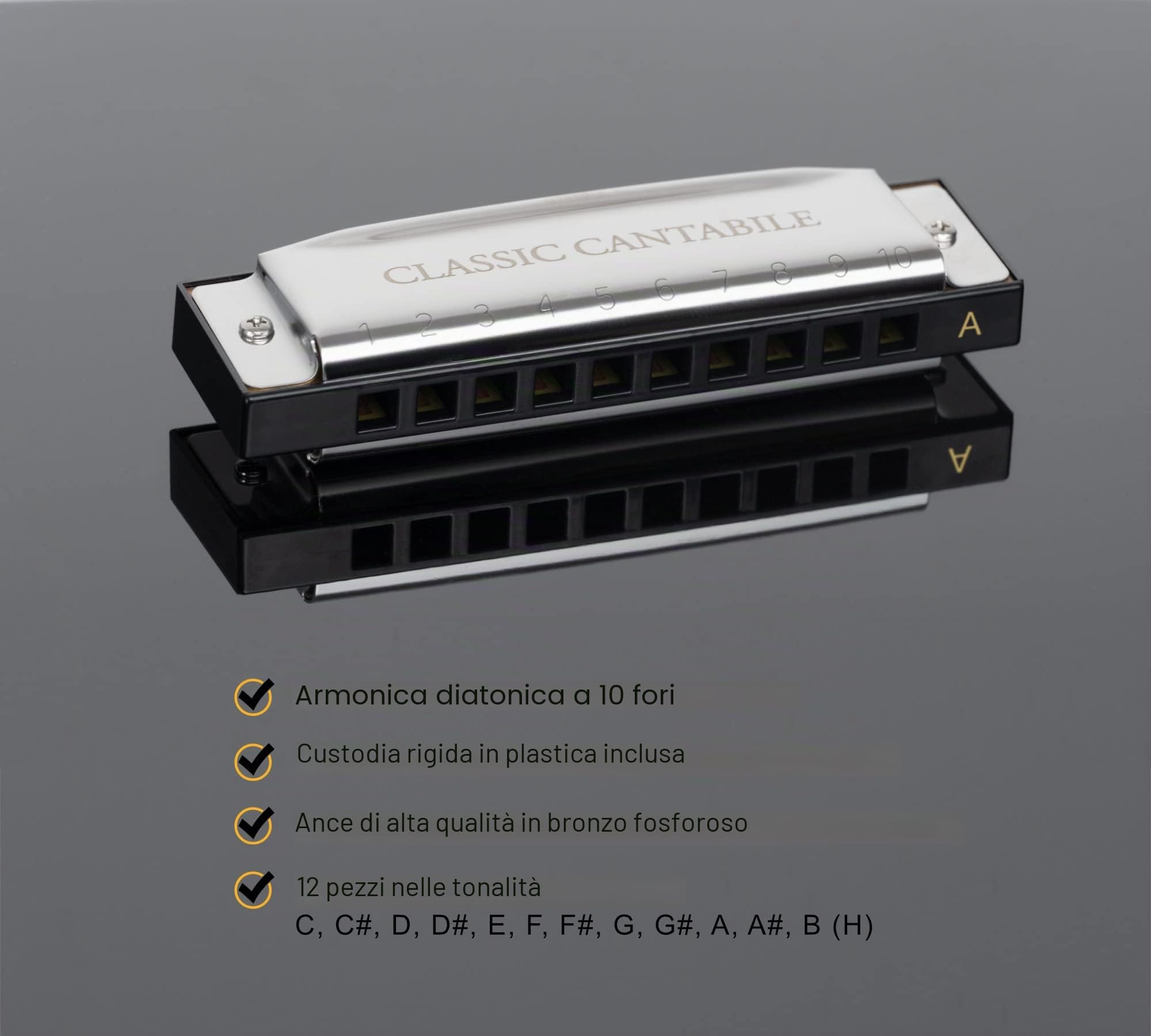 Classic Cantabile AHBS-12 Alabama Blues Harmonica Set da 12 - Armoniche Diatoniche in Diverse Tonalità - 10 Ance in Ottone - Corpo in Acciaio Inossidabile - Include Custodia & Panno