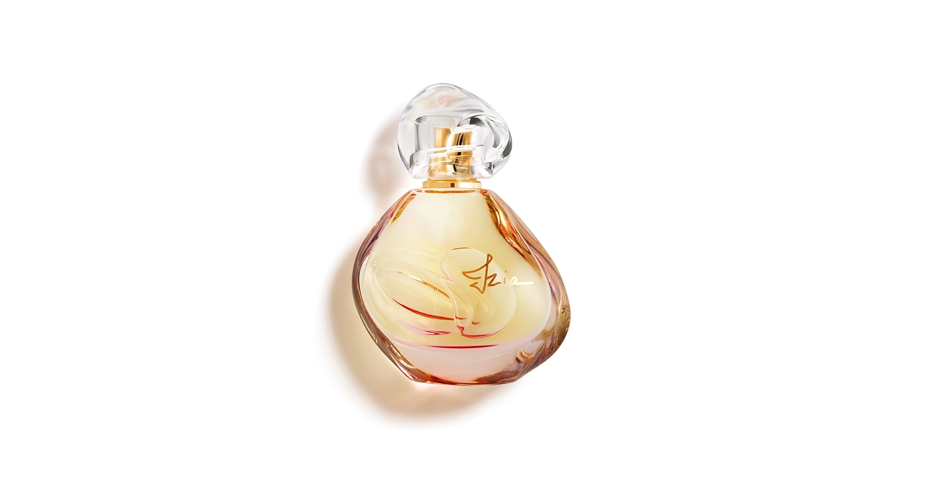 sisley Izia 香水 50ml Amazon.com : Sisley Paris Izia - 100 mL - Eau de Parfum for