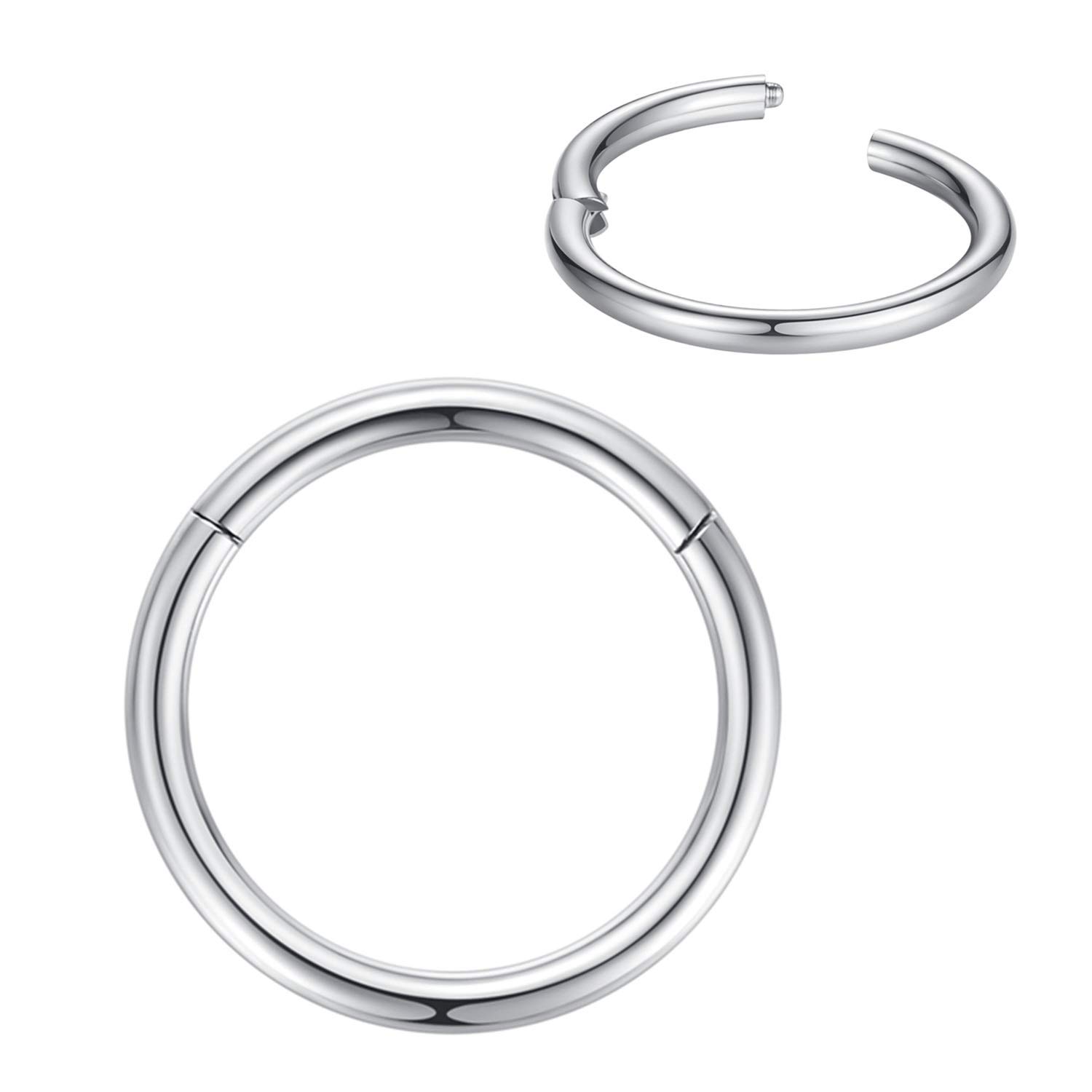 316L Surgical Steel Nose Rings Hoop Septum Clicker Hinged Segment Ring Lip Ear Piercing Earrings for Cartilage Helix Tragus Conch Rook 20g 18g 16g 14g 12g 10g 8g,Inner Diameter 5mm to 22mm