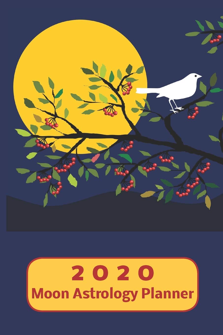 2020 Moon Astrology Planner: Weekly Plan and Journal Note Page with Monthly Grid Calendar from Jan - Dec 2020