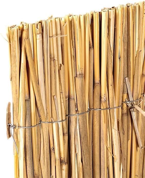 Bamboematten zijn de Perfecte Keuze zijn voor je Pergola Overkapping | Bamboe Magazine België