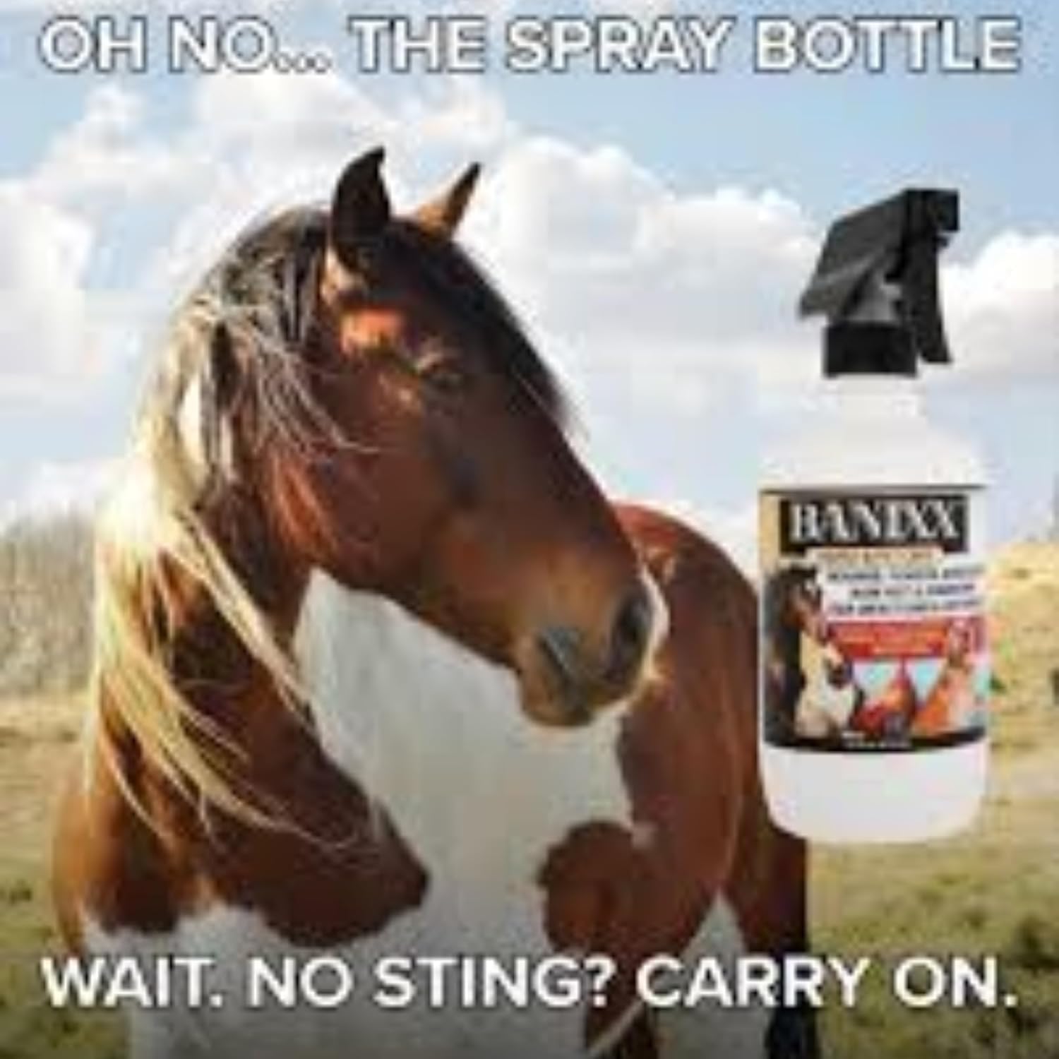 Horse and Pet Care 16oz - Gentle, Effective Care for Horses and Pets - Safe for Use Around Sensitive Areas - No Sting, Burn, or Odor - Helps Manage Minor Skin Care