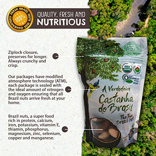 Raw Brazil Nuts - (4.4oz - 125g) - Sustainable Harvesting, Certified Organic, Handpicked, Fresh, Whole, Jumbo Size, Unsalted Brazilian Nuts - Non-Gmo, Keto Friendly, Vegan, Kosher