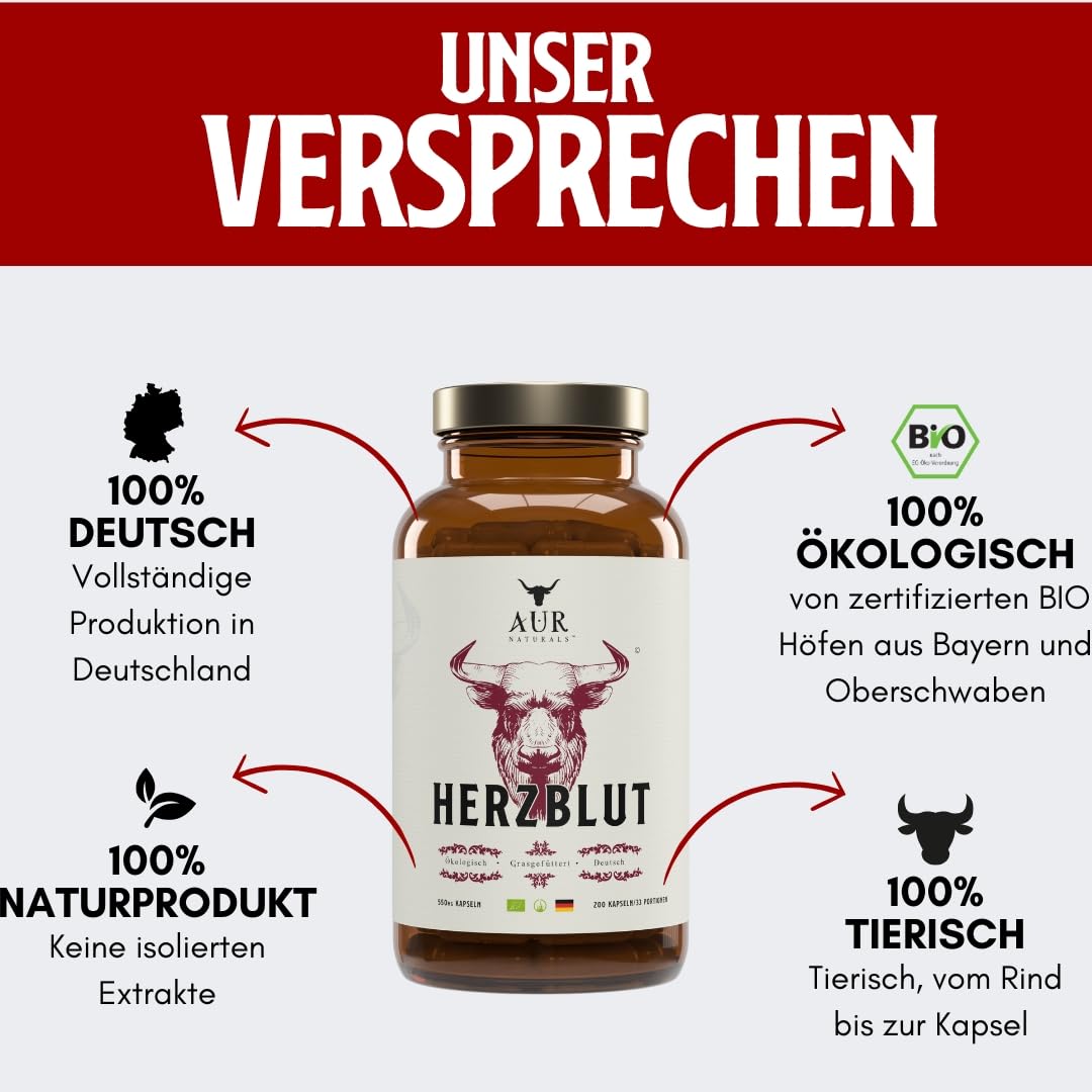 HERZSANG (90 capsules) – Forte synergie du cœur de bœuf et du foie de bœuf ; pour les sportifs ; plus d'énergie et de performance grâce aux superaliments naturels ; 100 % allemand, 100 % animal, 100 %