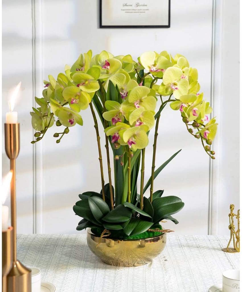 Fiori artificiali Orchidea 8 teste Fiori artificiali Phalaenopsis Orchidee in vaso Piante artificiali Orchidee finte Aspetto naturale classico, Verde
