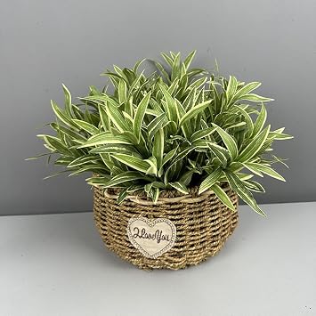 2Pcs Artificial Dracaena Reflexa Plant 12.2 Faux Green Spider Plants for Indoor Outdoor Home Garden Office Wedding Decoration