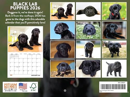 Vista 438 de Calendario Goldendoodle 2026 Golden Doodle mensual de pared calendario de 12 meses Fabricado en Estados Unidos