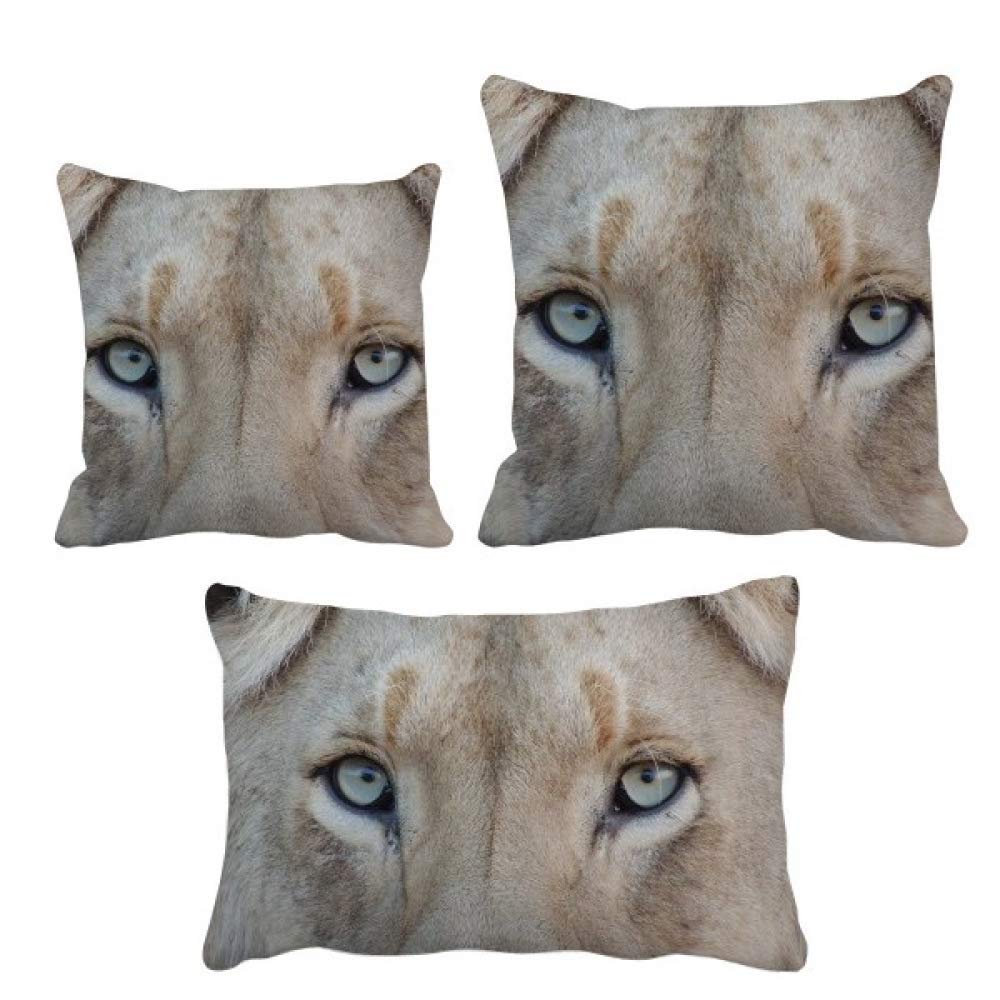 Housse de coussin lion blanc pour créer une ambiance nature dans votre salon