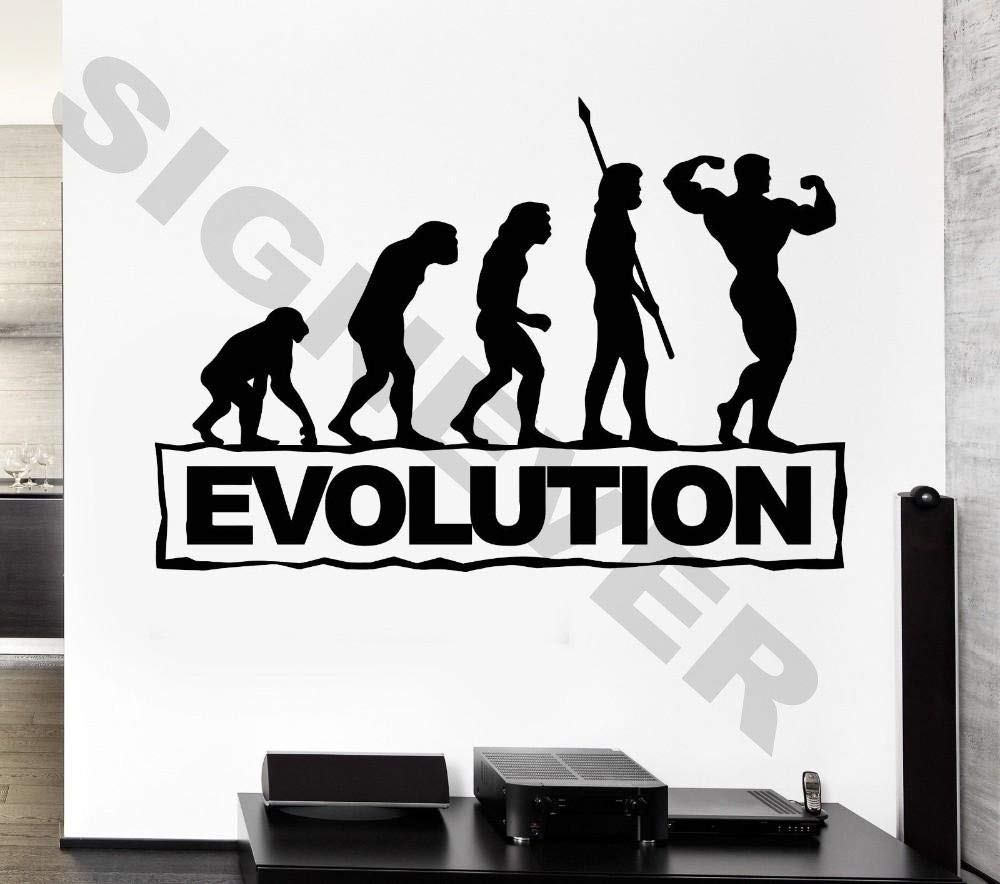 SIGN EVER Evolution Home Office Wall Sticker for Bedroom Living Room Kids Boys & Girls Room Vinyl Decal L x H 55.00 x 49.00 cm
