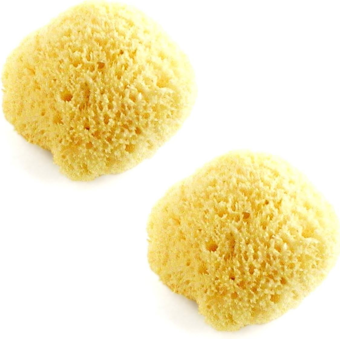 Bath Buddies Natural Bath Sponge - 2 Count by Baby Buddy