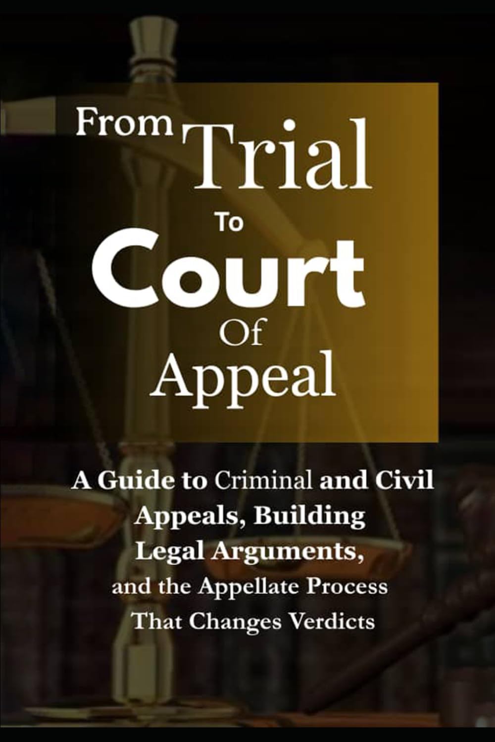 From Trial To Court Of Appeal: A Guide to Criminal and Civil Appeals, Building Legal Arguments, and the Appellate Process That Changes Verdicts