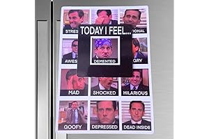 Hilarious Fridge and Office Magnets for Michael Scott Aficionados