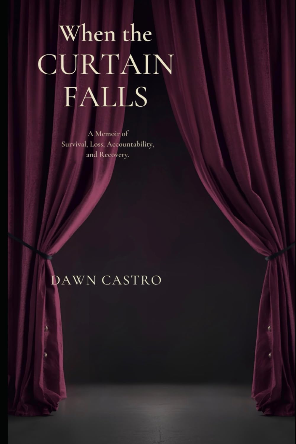 When the Curtain Falls: A memoir of survival, loss, accountability and recovery