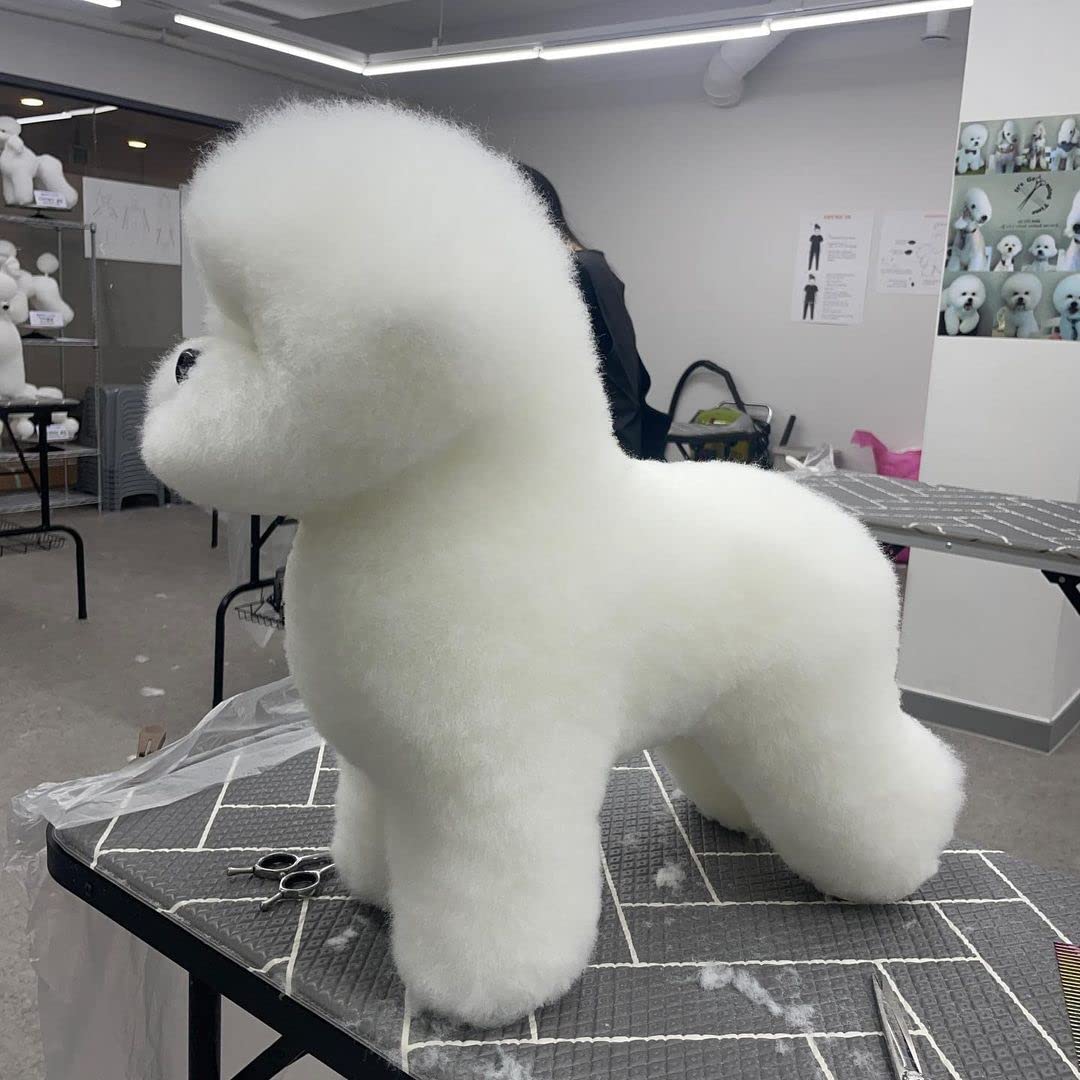 Amazon | FOGOSP ビションモデル犬グルーミング練習モデルキット