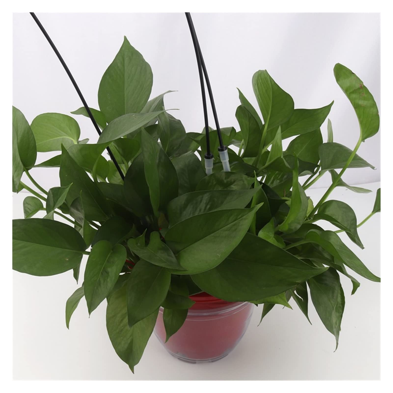Ogrodowy adapter hydrauliczny 2 sztuki 16 głowic zestaw skraplaczy ogrodnictwo bonsai doniczkowy system nawadniania kropelkowego nawadnianie kropelkowe strzałka wyrzutnia zraszacz nawadnianie roślin