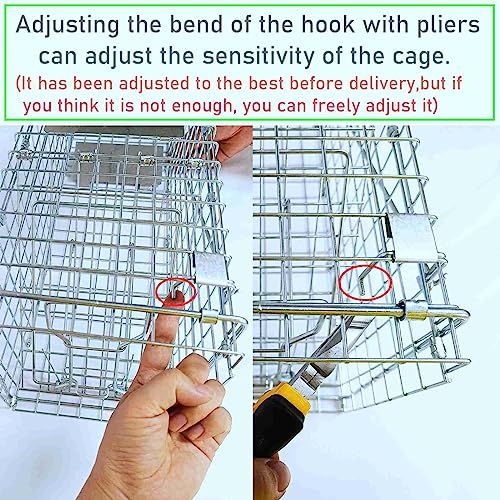 Collapsible Humane Live Animal Cage Trap No-Kill Trapping Kit For Humane Catch Release Rodent Small Cat, Rabbits, Squirrel, Opossum, Squire, Raccoon, All Fit Sized Small Animals, 2-Door 24"X8.5"X7.5" #TOP4