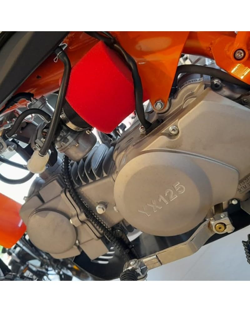 T-MOTO Pitbike Zeus 125cc Ruota 17/14, Motocross 4 Tempi, Moto cross a Benzina 75 Kg, Off Road Ragazzi e Adulti