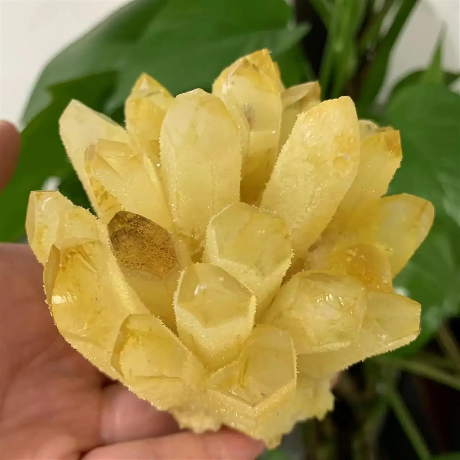Stone Citrine Phantom Quartz Crystal Cluster (350-400g)