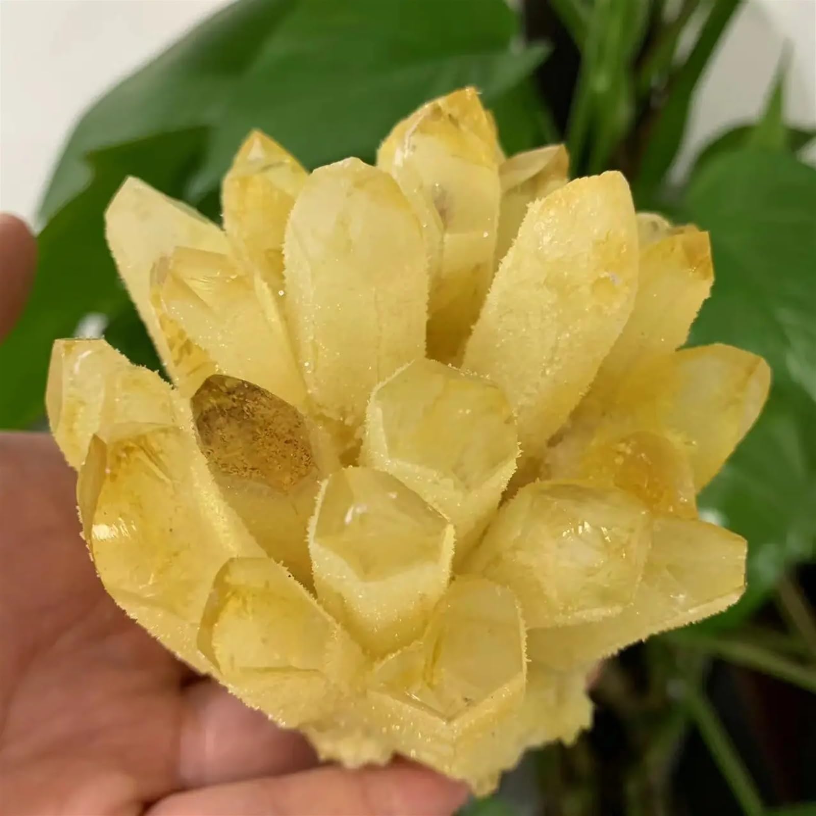 AUOQKQUT Citrine Phantom Quartz Crystal Cluster Home Decor(550-600)
