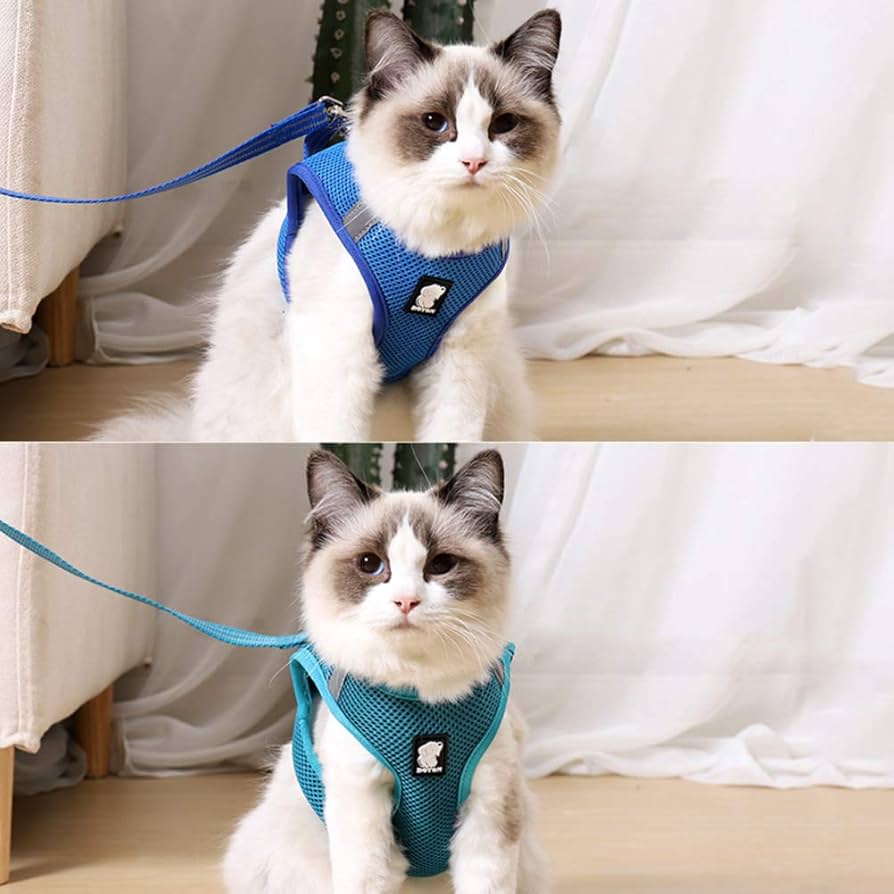 Dokeno Set Med Sele Och Koppel Fu00f6r Katter Justerbar Hundsele Med Dokeno Set Med Sele Och Koppel Fu00f6r Katter Justerbar Hundsele Med