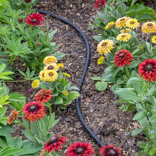 STYDDI Soaker Hose, 1/2\" x 75 FT Round Rubber Garden Soaker Hose, Heavy Duty Water Seeper Soaker Hoses for Foundation Watering, Garden Beds, Garden, Lawn and Plants - Thumbnail 2