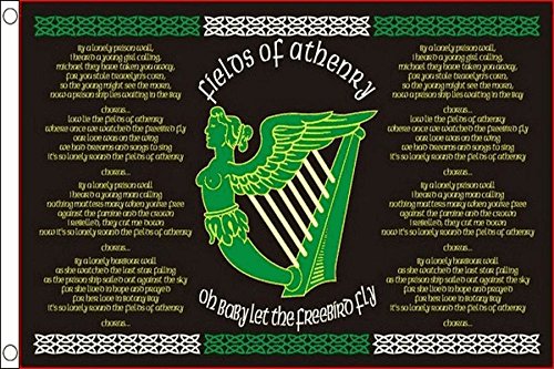 AZ FLAG - Flagge Irland The Fields of Athenry - 90x60 cm - Irische Fahne 100% Polyester mit Messing-Ösen - UV-beständig - Vives Farben - 50g