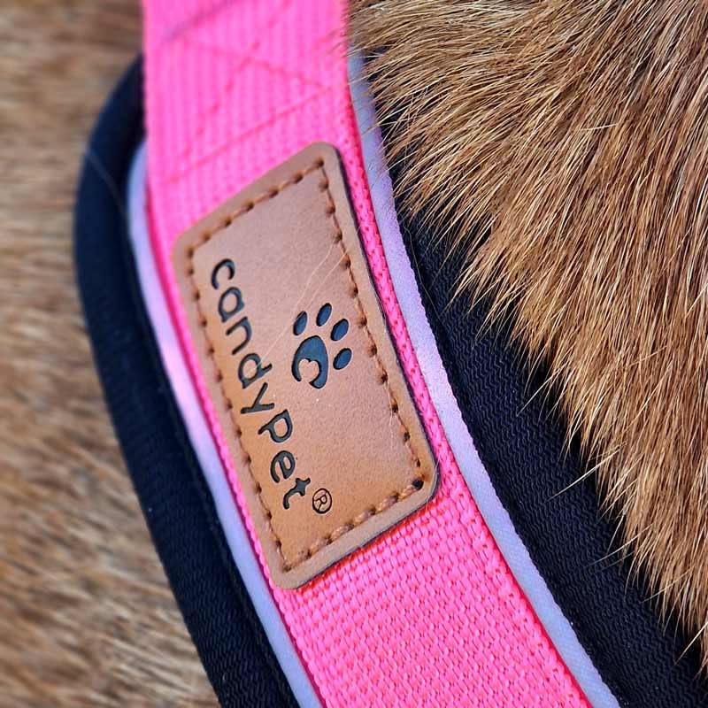 Reflektierendes Hundegeschirr in Y-Form, ideal für Lebreles: Italienischer Windhund, Whippet, Windhund, Podenco - sicher, atmungsaktiv und langlebig, perfekt zum Wandern, Training und Laufen, Rosa, L
