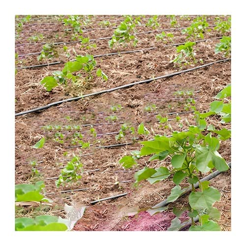 Hgasopld Space 400Mm Micro Irrigation Tube, Dn16 Pe Flat Drip Tape Irrigation Tubing 0.2Mm Thickness Emitter Space 100-400Mm 20-100M(,Dn16 100 Meters)