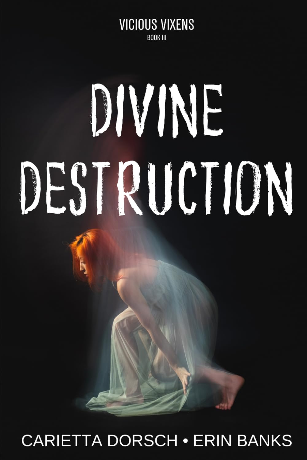 Divine Destruction (Vicious Vixens)