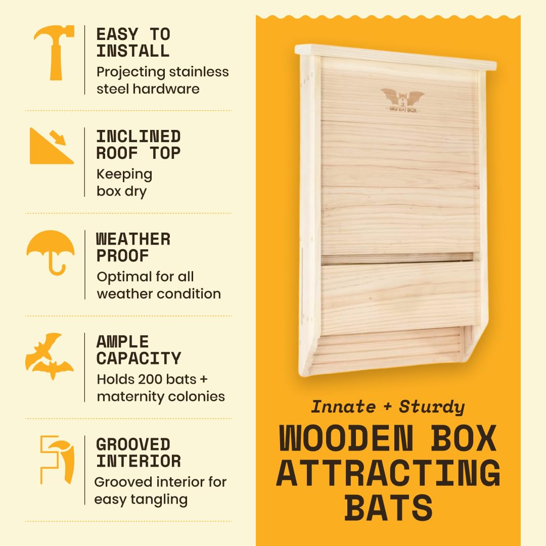 Big bat box Bci certificata Triple Chamber bat House, Unfinished