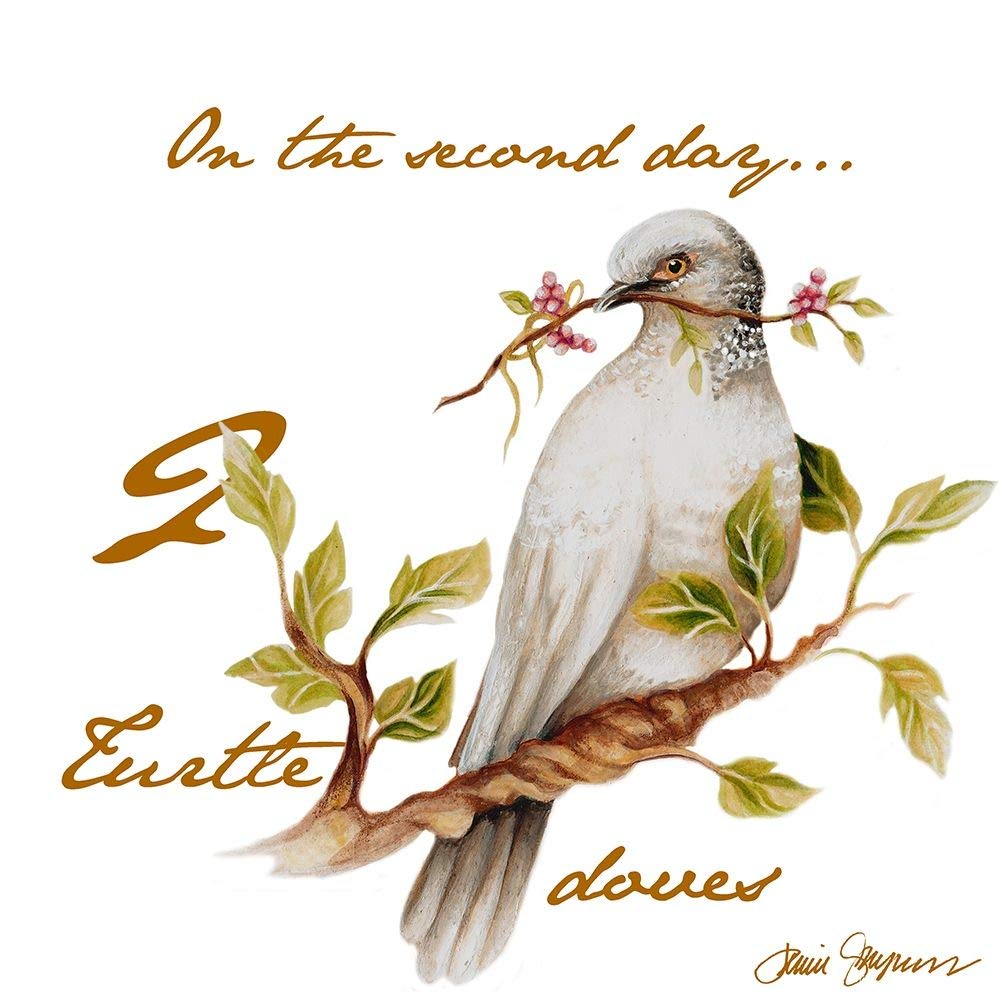 Posterazzi Collection Two Turtle Doves Poster Print by Janice Gaynor (12 x 12)