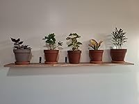 Review Image by Shawn Shawn