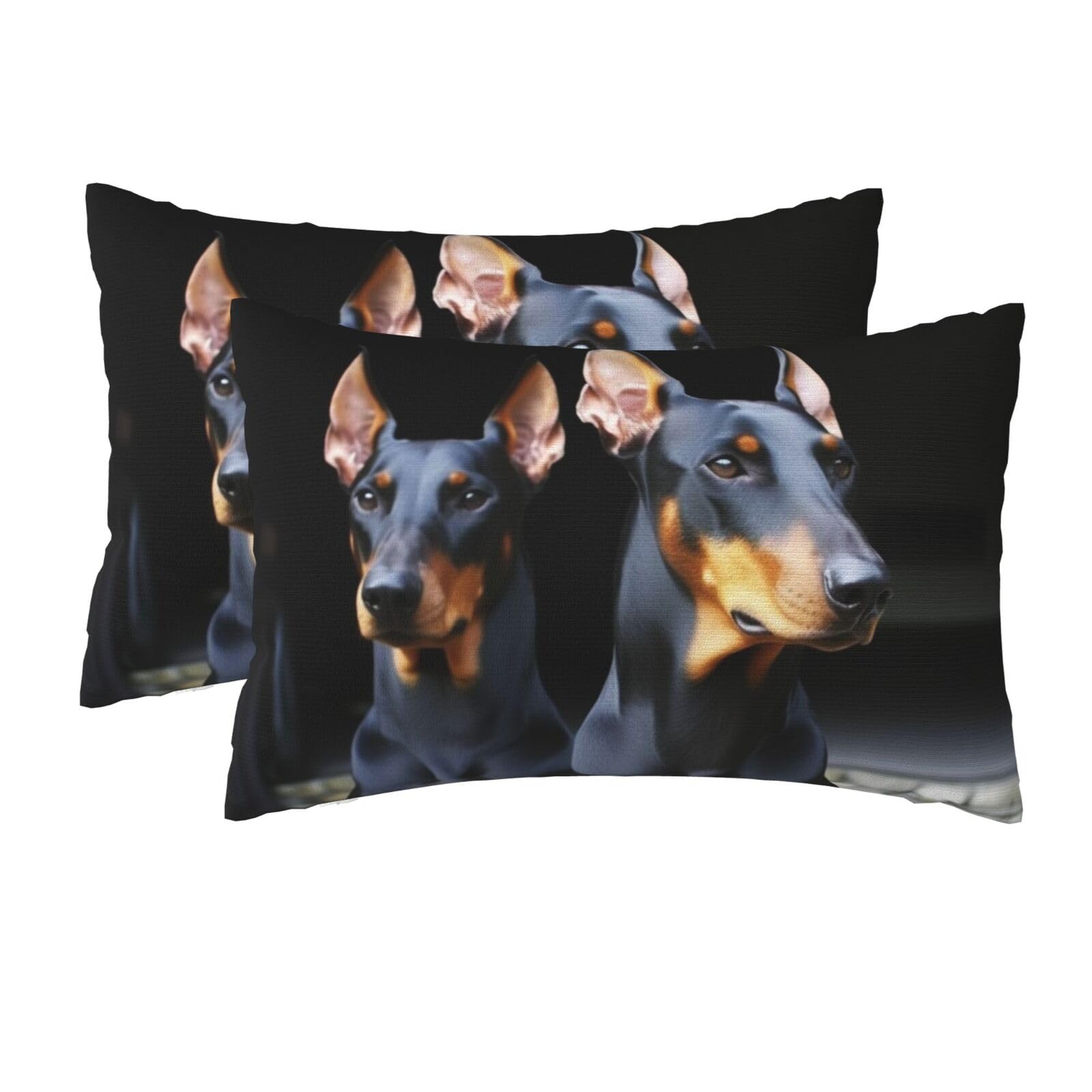 2 Pack Queen Size Pillow Cases for Hair and Skin Soft Breathable Pillow Case Covers with Hidden Zipper Doberman Pillowcase 20x30 Inches Pillow Cover for Sleeping Gift