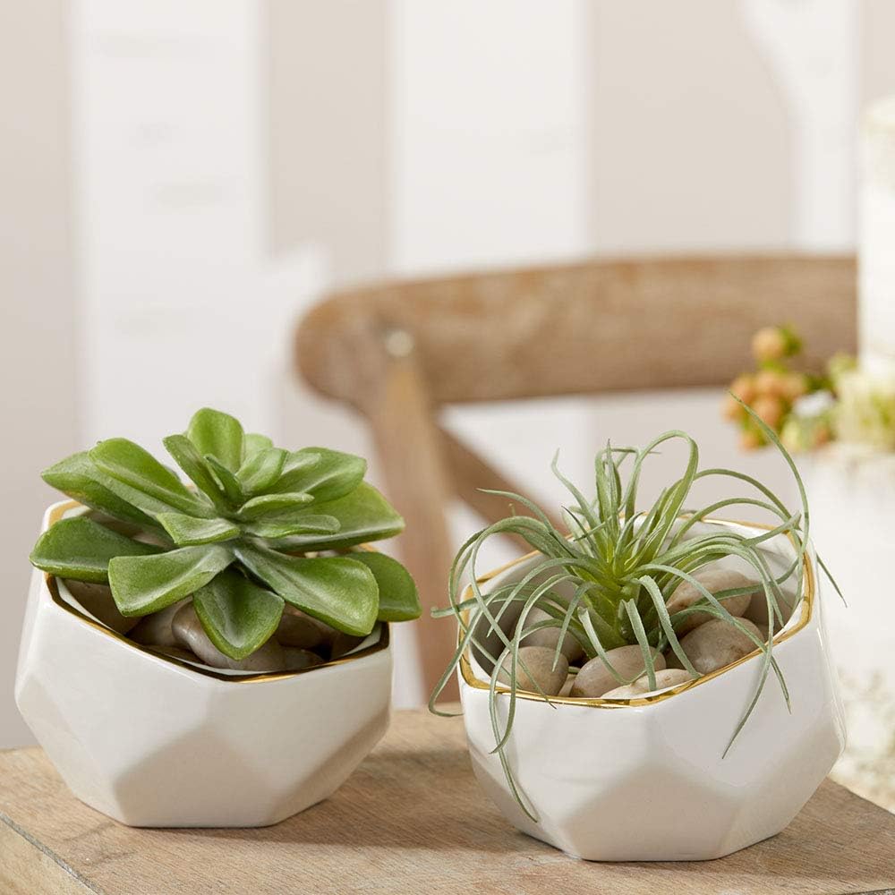 Kate Aspen Geometric Ceramic Planters Decorative Bowls, Small & Medium (Set of 2) , White : Clothing, Shoes & Jewelry