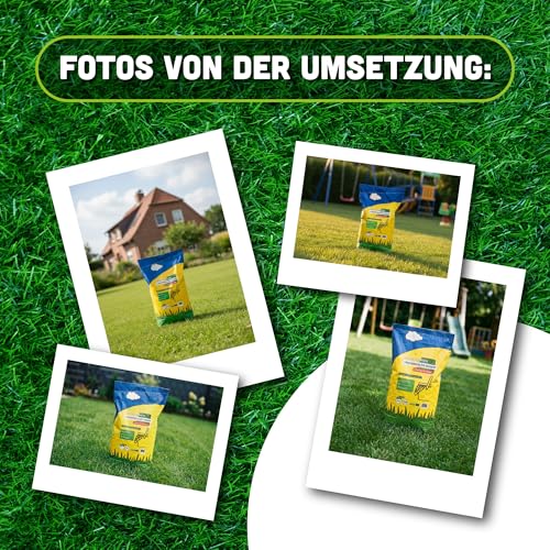 ARPON Rasensamen Schnellkeimend frühjahr | Grassamen Robust & pflegeleicht 5kg– Reicht für 200m²| Frühling Rasen samen Nachsaat & Neuansaat |Dichtes, sattgrünes Gras| Rasensaat ideal für jeden Rasen