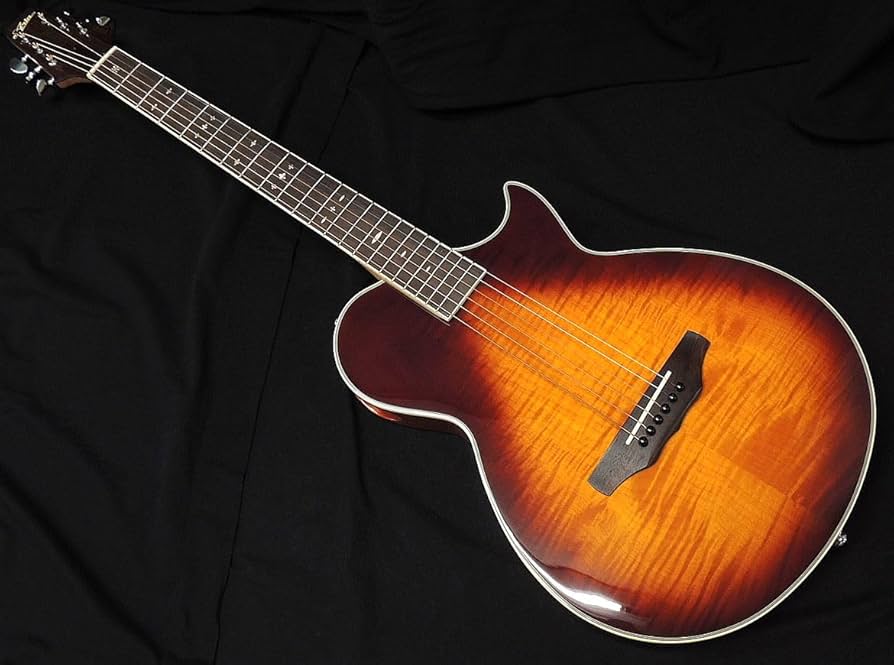 ＡＲＩＡ..エレアコ！ジャンク…値下げ！ ARIA（楽器） Aria Dreadnought AF-105RWCE (スペア弦付き