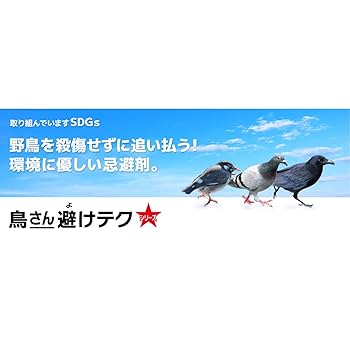 君鳥 8月17日のおすまし幼鳥です！しばらくこの状態で動かなかった