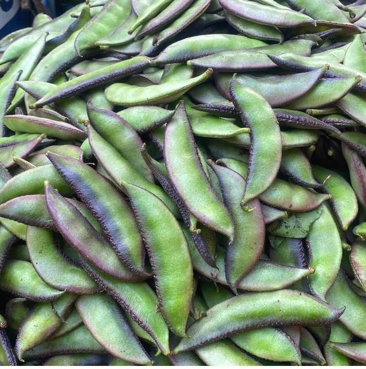 Zeniso® Sem Phali/Lima Beans Seeds, Indian Vegetable Seeds, High Germination Seeds For Home & Garden (B0CZLGM1X9) Amazon Price History, Amazon Price Tracker