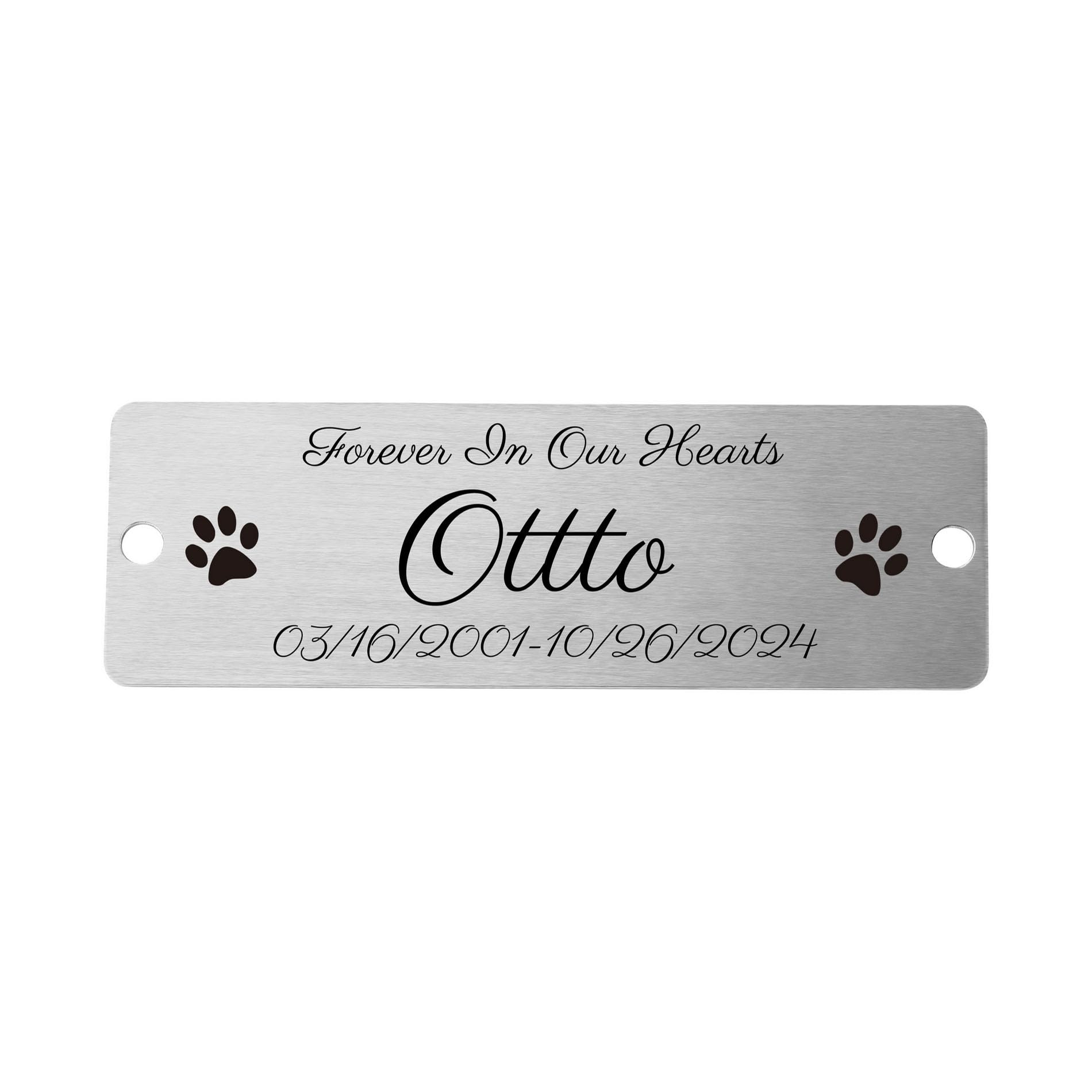 OTXIXTO Plaques Personalized Engraved Name Plates for Office Desks Door Wall Trophy Custom Metal Plate with Screws (Silver, Round Corner, 3" x 1")