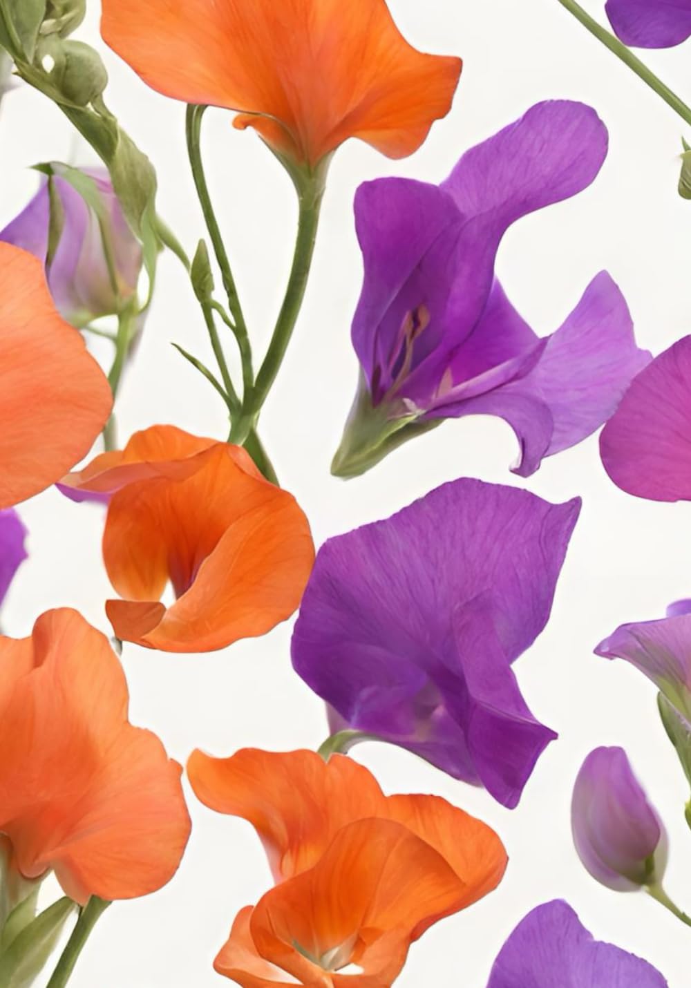 The Ultimate GLP-1 Co-Pilot Companion Journal designed to be used with the WeightWatchers™ clinic program.