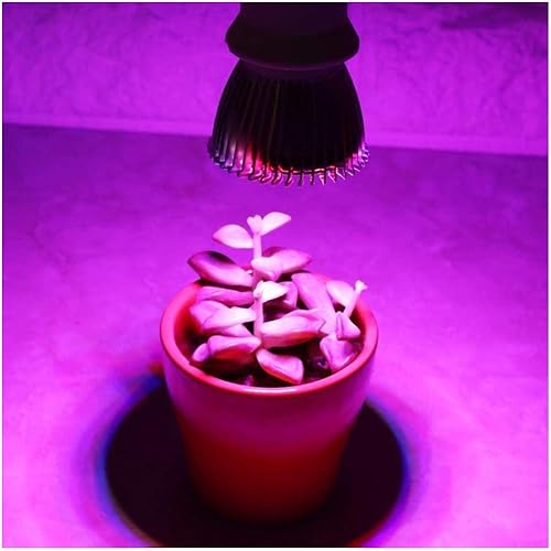 Miniatura 5 de FastUU Lámpara de cultivo, desde la siembra hasta la cosecha de la planta crece la luz, para invernadero hidropónico para caja de cultivo pequeña