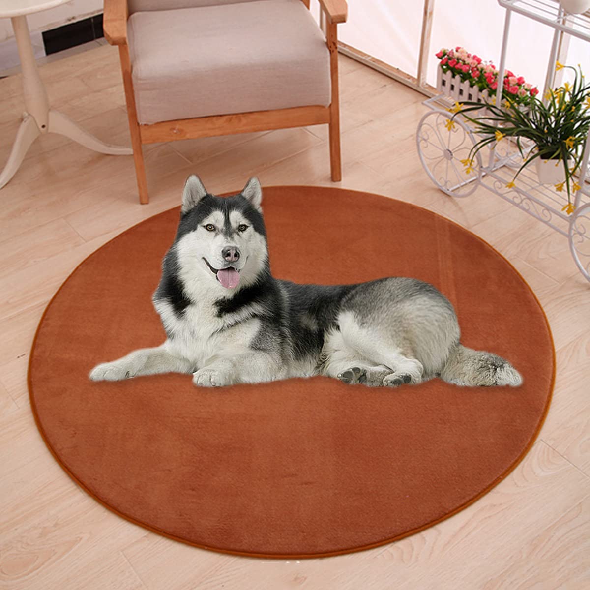 Waigg Kii Large Dog Bed Mat,Coral Velvet Soft Round Carpet Area Rug Pet Mat,Anti-Anxiety Dog Mattress for Small Medium Large Cats Dogs (70CM,Brown) — image 1