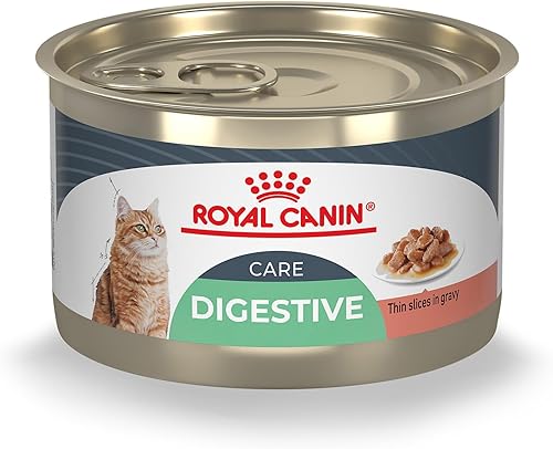 Royal Canin Feline Digestive Care - Rebanadas finas en salsa húmeda para gatos, lata de 5.1 onzas (24 unidades)